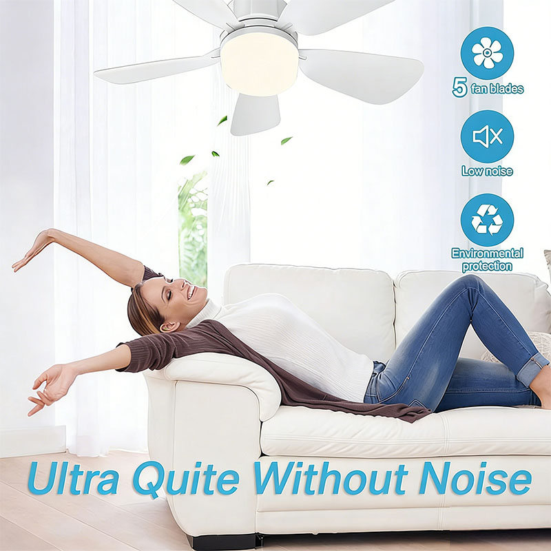 E27 Screw Ceiling Fan Light wi - Home Bathroom Fan review and price