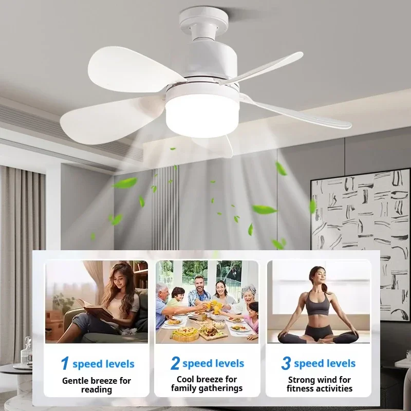 16 Inch 2-in-1 Ceiling Fan wit - Home Bathroom Fan review and price